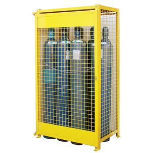 Gas Cylinder Cabinets - 010-LVDI160