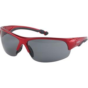 Z1900 Series Safety Glasses - 010-LVHN519
