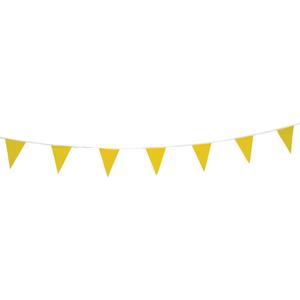 Pennant String - 010-LVJJ645