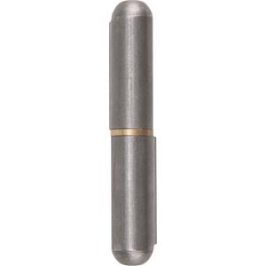 Weld-On Hinge - 010-LWWY769
