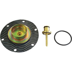 Relieving Diaphragm & Valve Regulator