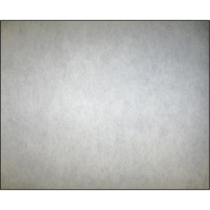 High-Arrestance Synthetic Media Filters - 20", 1", 16", 2, Pad, CS-5