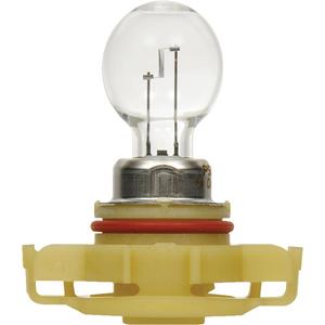 5202 Basic Fog Light Bulb - 24 W, Halogen, Off White