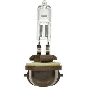 886 Basic Fog Light Bulb - 50 W, Halogen, Off White
