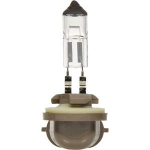 896 Basic Fog Light Bulb - 37.5 W, Halogen, Off White