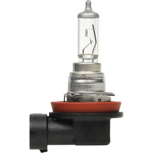 H16 Basic Fog Light Bulb - 55 W, Halogen, Off White