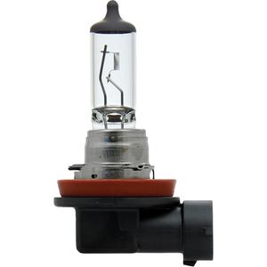 H11 Basic Headlight Bulb - 55 W, Halogen, Off White