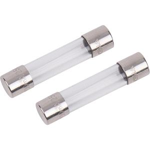 Test Lead Replacement Fuses - REED FC-300 Fused Test Leads, 0.2A/250V