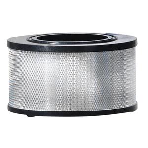 Wet/Dry Vacuum Filter - 8 - 11 US gal., Hepa