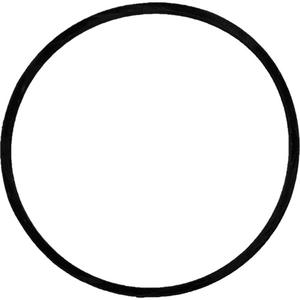 Replacement Brush Drive Belt