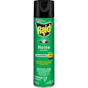 Raid® Home Insect Killer - 350 g, Solvent Base
