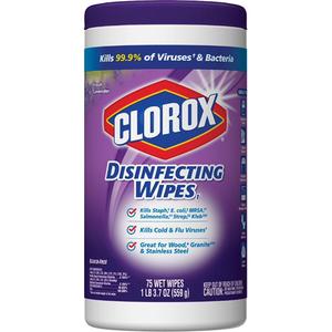Disinfecting Wipes - 75
