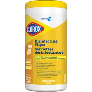 Disinfecting Wipes - 75