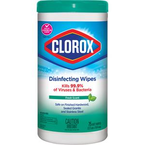 Disinfecting Wipes - 75