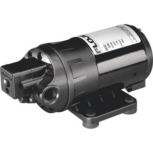 Flojet Duplex II Series Diaphragm Pump - 2 GPM, 24 V, 160° F, 3/8" NPT Inlet/Outlet, Buna/Buna