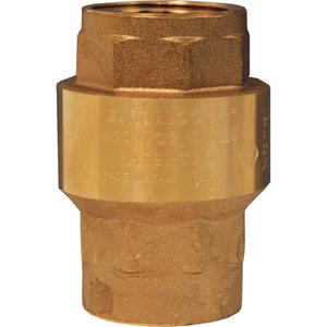 Spring-Loaded Check Valve - 1/2", 400 psi, '-12.2 - 99°C (10° - 210°F)