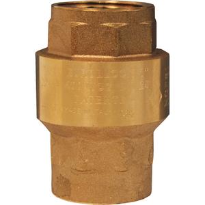 Horizontal Swing Check Valve - 1", 200 psi, '-29°C to 66°C (-20°F to 150°F)