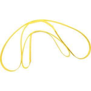 Reusable Roof Anchorage Device - Temporary, Roof/D-Ring