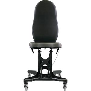 Flex III Ergonomic Chair
