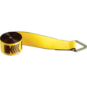 Winch Straps - Delta Ring, 4", 30', 5400 lbs. (2450 kg)
