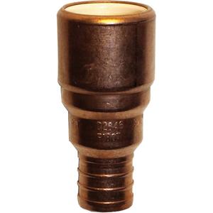 Pipe Adapter - Hub x Pex Barb, Copper/CPVC, 3/4"