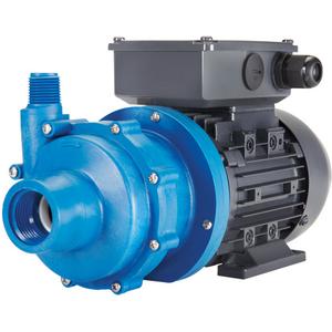 Magnetic Drive Pump with Carbon Bushing - 1", 1/2", 1/8 HP, 20.4', 5 Years, NPT, 2.3", 4-Pole