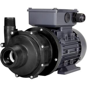 Magnetic Drive Pump with PTFE Bushing - 1", 3/4", 1/2 HP, 31', 5 Years, NPT, 3", 8-Pole