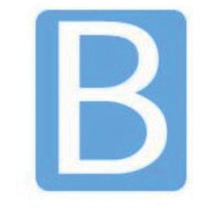 Quick-Align® Individual Gothic Number and Letter Labels - B, White, 6"