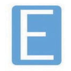 Quick-Align® Individual Gothic Number and Letter Labels - E, White, 6"