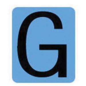 Condensed Quick-Align® Individual Gothic Number and Letter Labels - G, Black, 2"