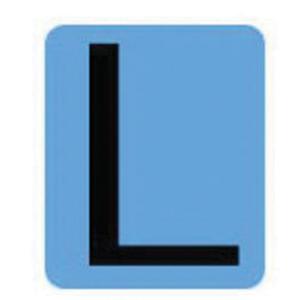 Condensed Quick-Align®Individual Gothic Number and Letter Labels - L, Black, 2"