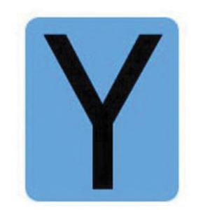 Condensed Quick-Align® Individual Gothic Number & Letter Labels - Y, Black, 2"