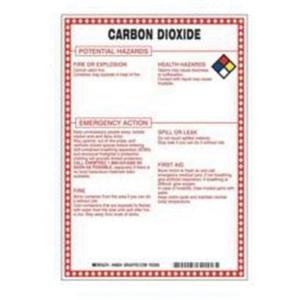 "Carbon Dioxide Potential Hazards" Sign - Fiberglass, 10", 7", Bolt-On, English with Pictogram, Chemicals and Hazardous Materials, Red/Black/Blue/Yellow on White