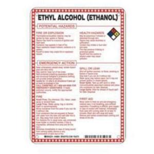 "Ethyl Alcohol (Ethanol) Potential Hazards" Sign - Fiberglass, 10", 7", Bolt-On, English with Pictogram, Chemicals and Hazardous Materials, Red/Black/Blue/Yellow on White