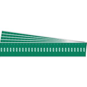 "Argon" Semi-Conductor & Chemical Pipe Markers - Vinyl, White on Green, 0" - 3/4", 1/2", 2-1/4", 1/4", English, Self-Adhesive, 28