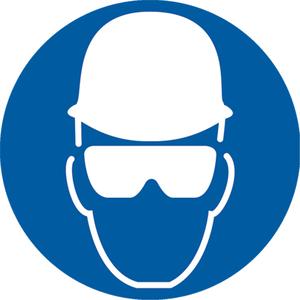 Wear Head & Eye Protection ISO Mandatory Safety Labels - Vinyl, 2", 2", Adhesive, Pictogram, Personal Protection