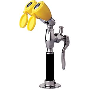 Drench Hose & Eyewash - Counter-Mount, None, 6', Hose & Eyewash