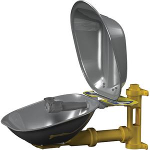 Halo™ Eyewash Stations - Wall-Mount, Stainless Steel, Stainless Steel