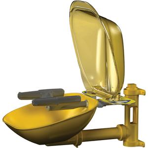 Halo™ Face/Eyewash Stations - Wall-Mount, Plastic, Plastic