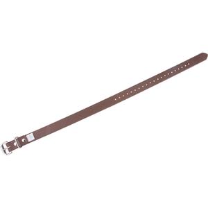 Leg Straps - Safety Strap