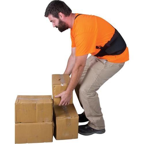 Back Support - Small, Medium, Large, X-Large, 2X-Large, Elastic, 25" to 30", 1 Year Limited - Image 3