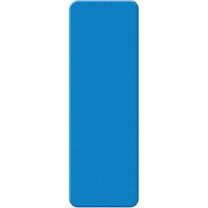 Armor Stripe Lean/5S Markers - Blue, Plastic, 2", 6", Rectangle, 10, Package