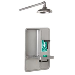 Eye/Face Wash and Shower - Ceiling-Mount, None