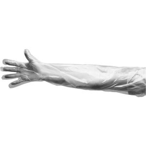 Disposable Gloves - Large, Polyethylene, 36", 9-mil, Untextured, Clear, Powdered, None, Non-Medical
