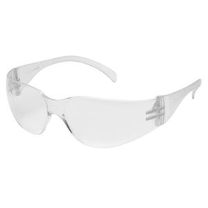 Intruder Safety Glasses - Meets/Exceeds CSA Z94.3/ANSI Z87+, Clear, Anti-Fog