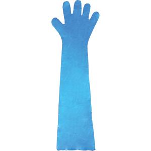 Disposable Gloves - One Size, Polyethylene, 36", Untextured, Blue, Powder-Free, Accepted for use in Canadian Food Processing Facilities, Non-Medical