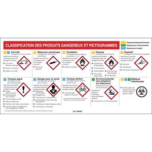 Mini MSDS Chart- French - French