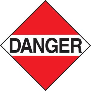 Miscellaneous Danger TDG Placard - Vinyl, 8, 10-3/4"
