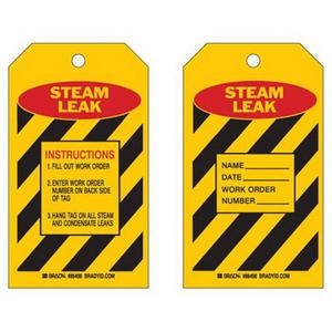"Steam Leak" Inspection Tags - Polyester, English, 4", 7", Pack, 10, Black/Red on White, Laminated