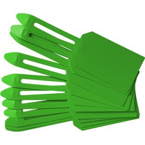 Blank Plastic Lock-On Tags - Plastic, Blank, 3-1/4", 5-4/5", Pack, 25, Green